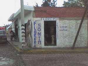 dsc00012.jpg